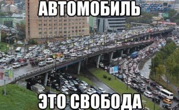 АВТО СВОБОДА.jpg