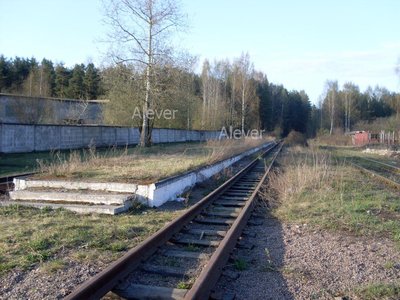 SDC12619.JPG