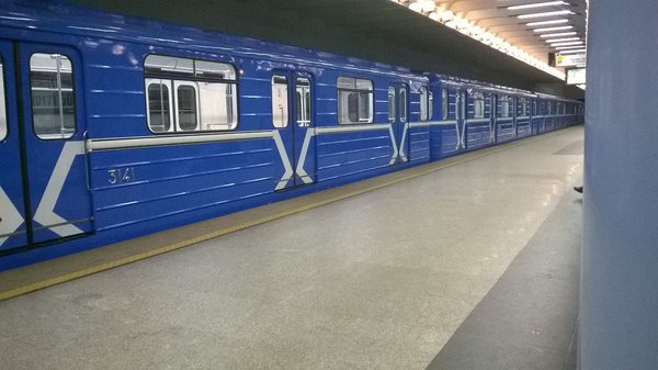 3141.jpg