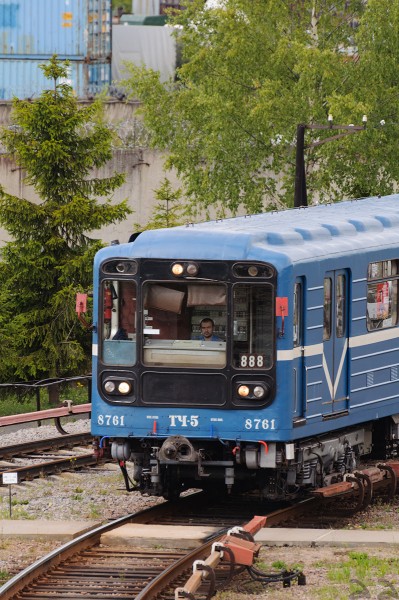 8761.jpg