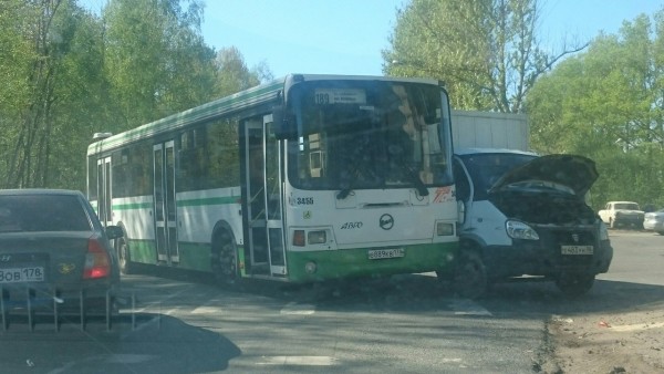 3455.jpg