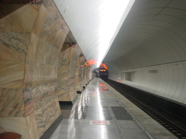 Платформа Бутырской. От Фонвизинской отличается только цветом пилонов. Путевая стена одинаковая на всех трёх станциях.