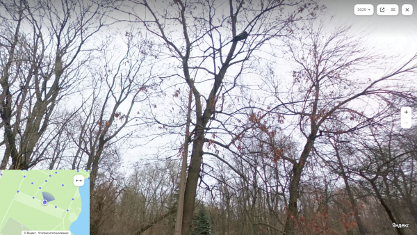 Снимок экрана 2026-01-11 234552.png