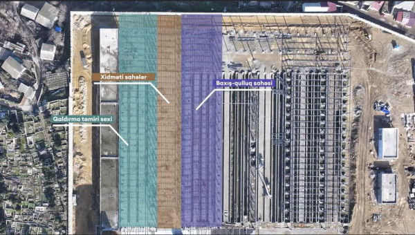 photo_2026-01-29_00-53-08 (2).jpg